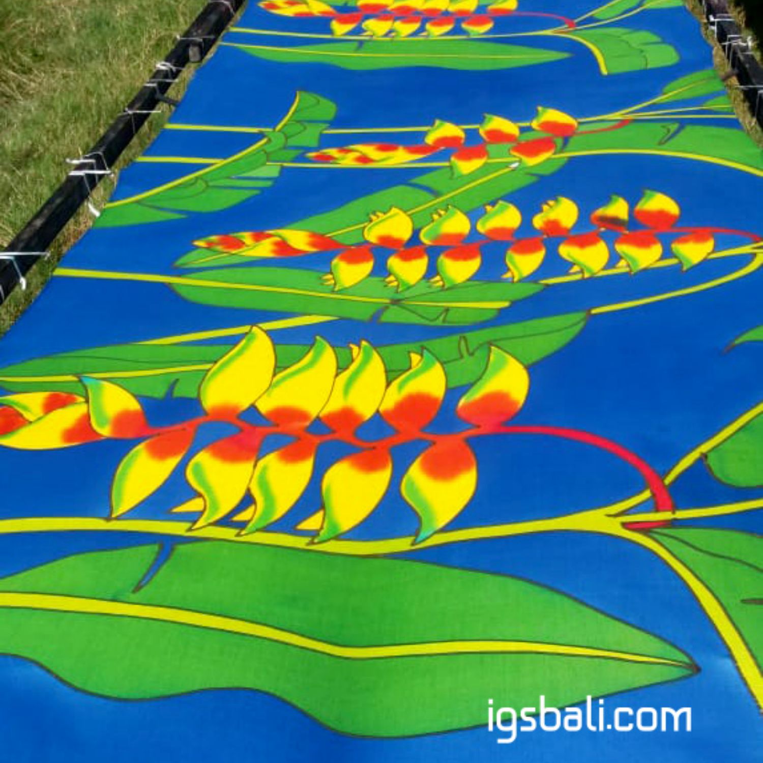 Beau pareo Bali Indonesie